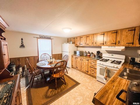 Tiny photo for 511 W HELEN Avenue, Christopher, IL 62822 (MLS # EB459440)