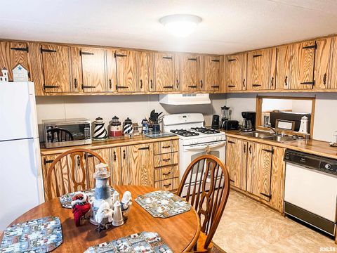 Tiny photo for 511 W HELEN Avenue, Christopher, IL 62822 (MLS # EB459440)