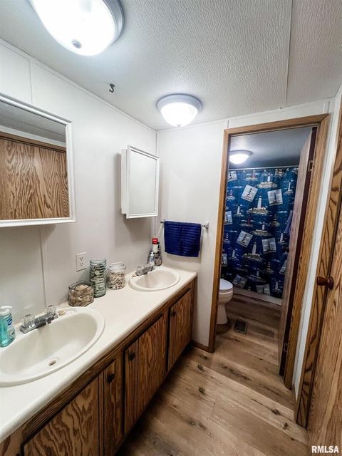 Tiny photo for 511 W HELEN Avenue, Christopher, IL 62822 (MLS # EB459440)