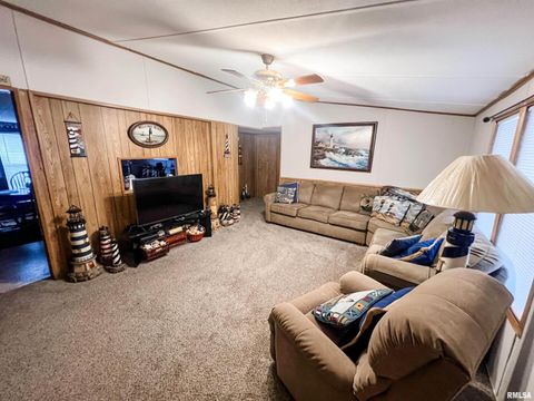 Tiny photo for 511 W HELEN Avenue, Christopher, IL 62822 (MLS # EB459440)