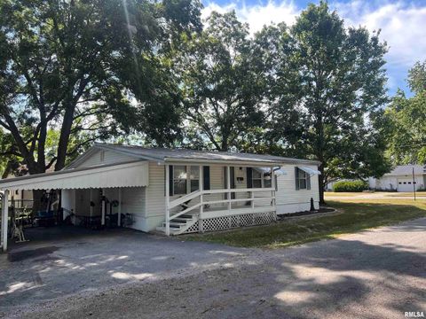 Tiny photo for 511 W HELEN Avenue, Christopher, IL 62822 (MLS # EB459440)