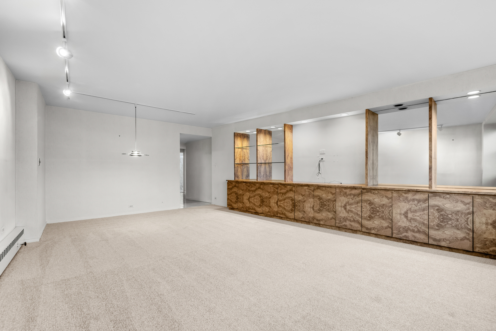 1150 N Lake Shore Drive 13A