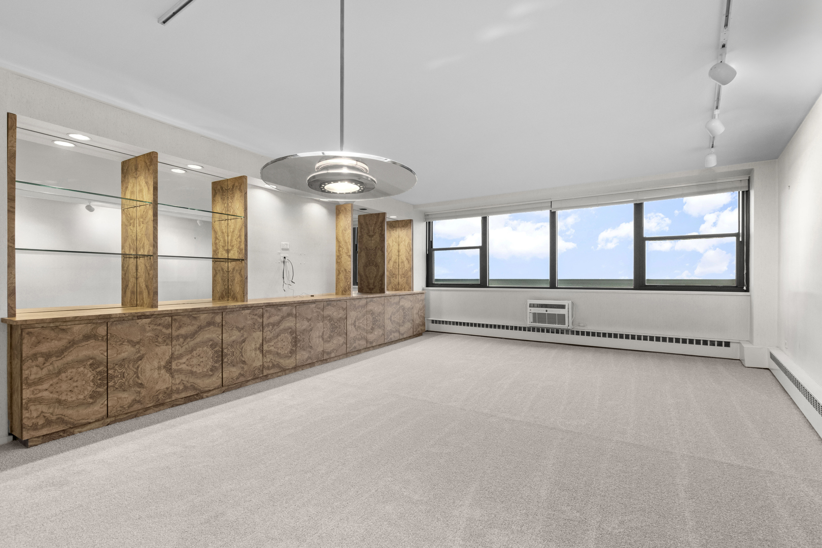 1150 N Lake Shore Drive 13A