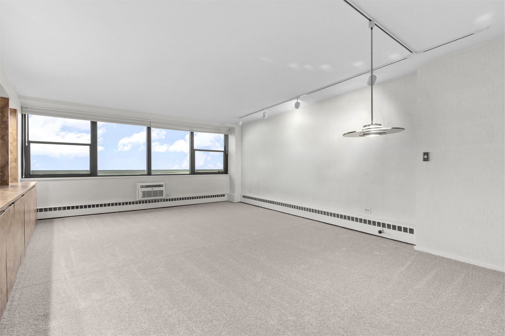 1150 N Lake Shore Drive 13A
