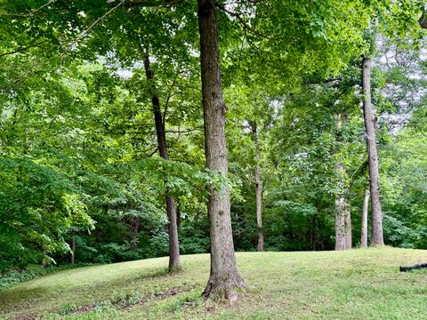 Tiny photo for 205 Nalley Lane, Grand Chain, IL 62941 (MLS # 12656757)