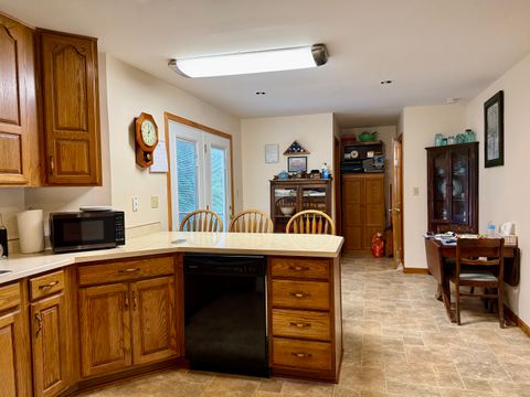 Tiny photo for 205 Nalley Lane, Grand Chain, IL 62941 (MLS # 12656757)