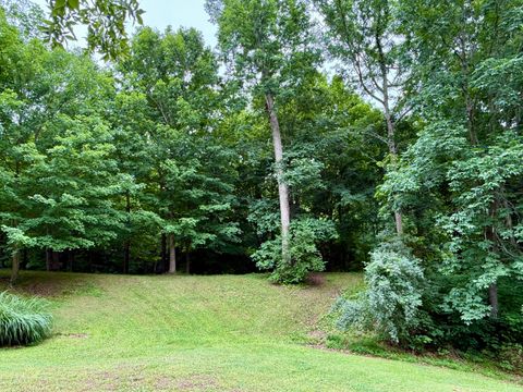 Tiny photo for 205 Nalley Lane, Grand Chain, IL 62941 (MLS # 12656757)