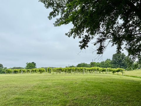 Tiny photo for 205 Nalley Lane, Grand Chain, IL 62941 (MLS # 12656757)