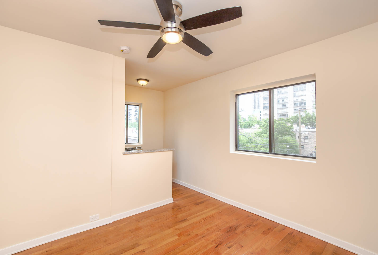 1430 N Dearborn Parkway 313