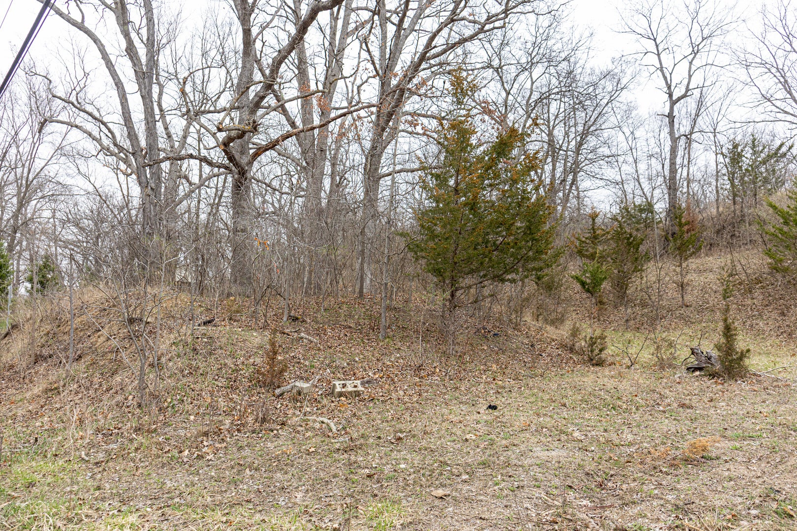 LOT 19 & LOT 18 Williams Road