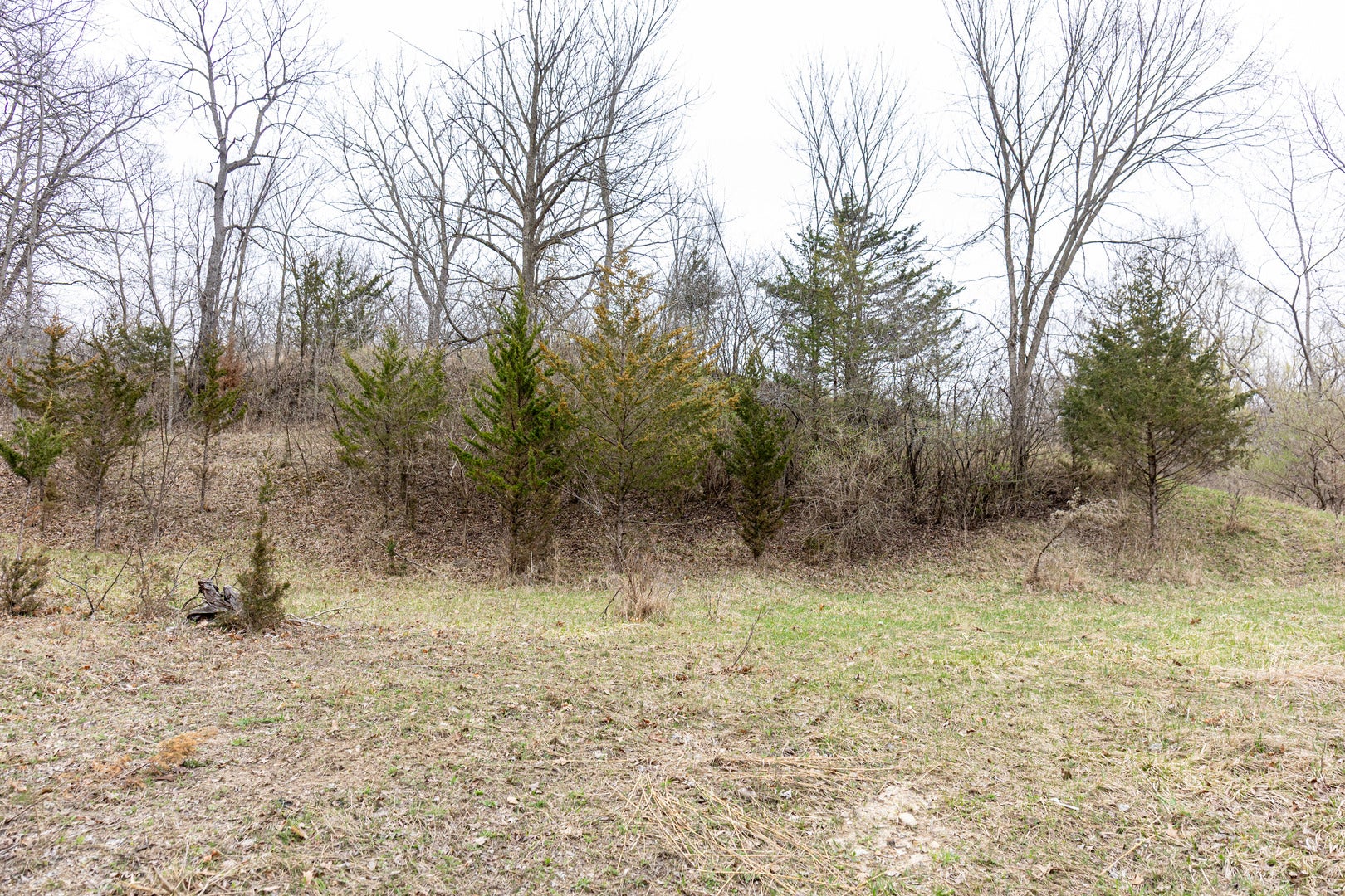 LOT 19 & LOT 18 Williams Road