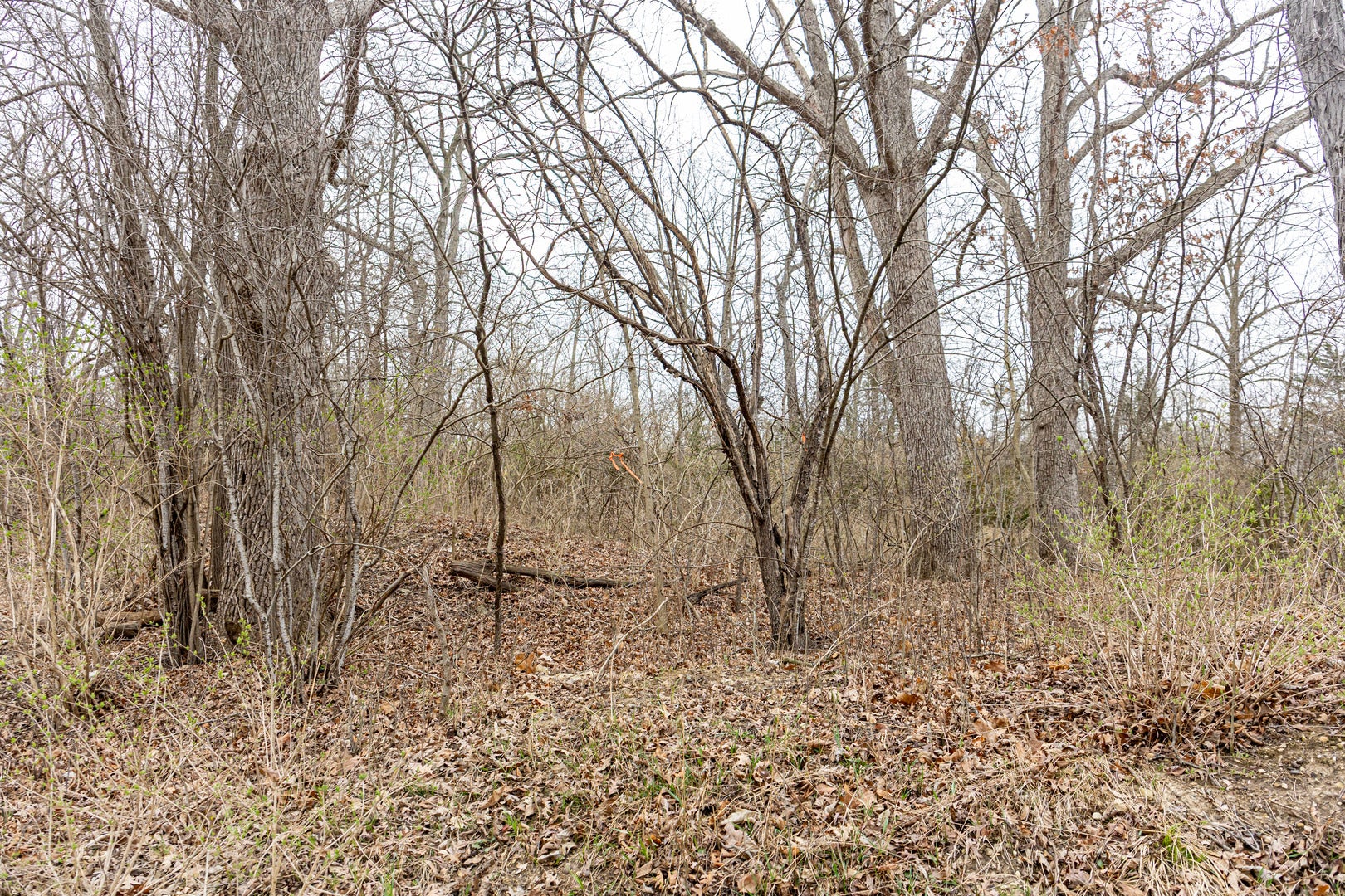 LOT 19 & LOT 18 Williams Road