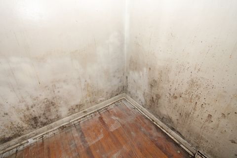 Tiny photo for 39 Warren Street, Calumet City, IL 60409 (MLS # 12397992)