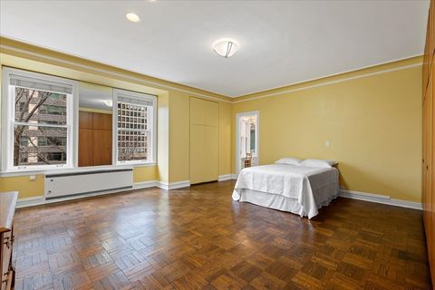 Tiny photo for 4950 S Chicago Beach Drive #4A, Chicago, IL 60615 (MLS # 12524303)