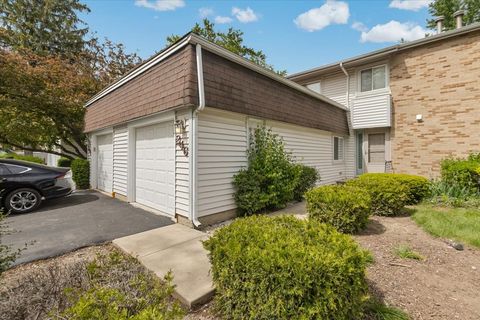 246 Monroe Road Bolingbrook IL 60440