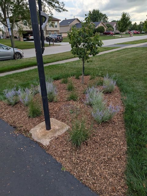 Tiny photo for 7458 W Wishing Well Drive, Frankfort, IL 60423 (MLS # 12543991)