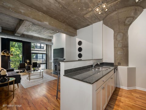 Tiny photo for 1070 W 15th Street #309, Chicago, IL 60608 (MLS # 12729818)