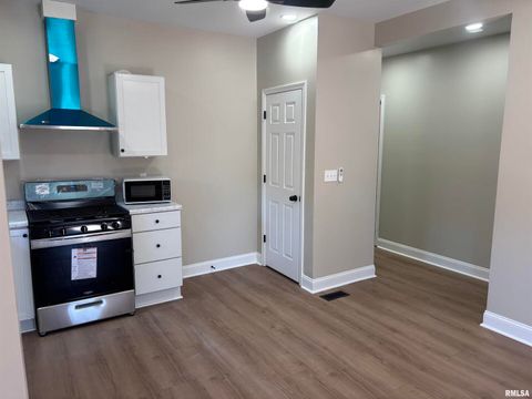 Tiny photo for 312 W SYCAMORE Street, Carbondale, IL 62901 (MLS # EB460121)