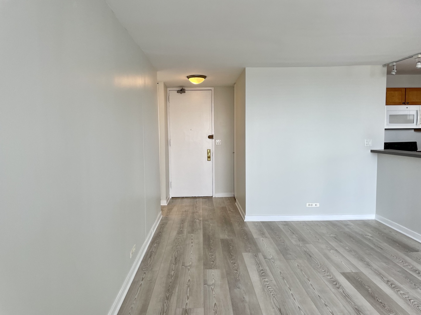 655 W Irving Park Road 2808