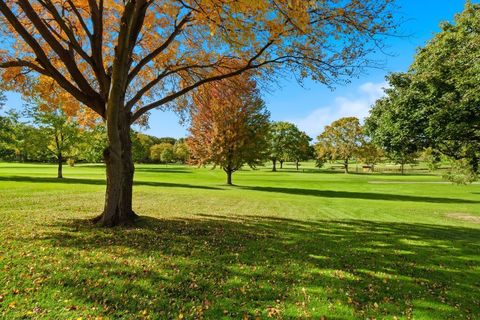 Tiny photo for 90 Golfview Lane #D, Frankfort, IL 60423 (MLS # 12507585)