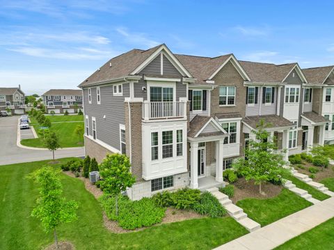 A home in Homer Glen