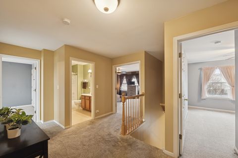 Tiny photo for 26334 W Silver Stream Drive, Channahon, IL 60410 (MLS # 12547380)