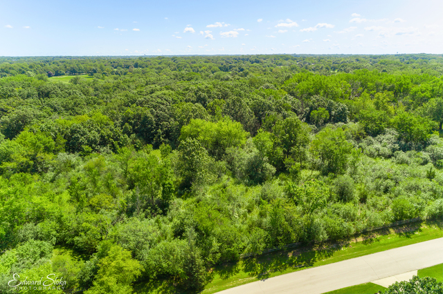 LOT 0 Steeplechase Road