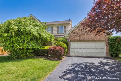 213 Stanton Drive Buffalo Grove IL 60089
