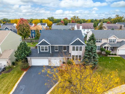 25230 Soldier Court Plainfield IL 60544