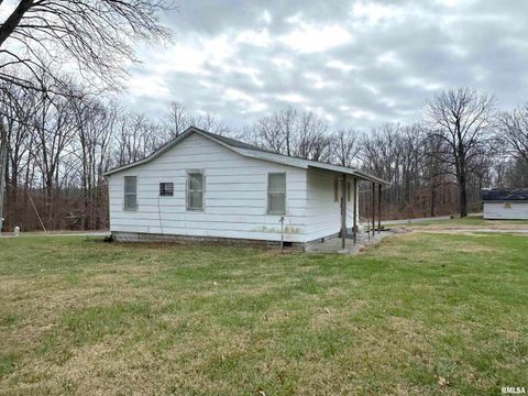 Tiny photo for 20 Mount Pisgah Road, Buncombe, IL 62912 (MLS # EB460800)