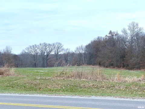 Tiny photo for 20 Mount Pisgah Road, Buncombe, IL 62912 (MLS # EB460800)