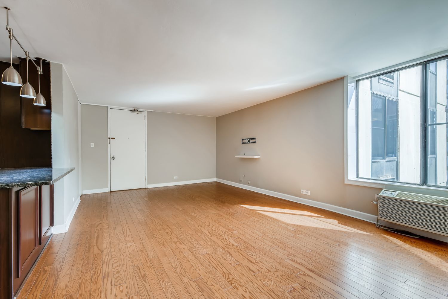 1339 N Dearborn Street 11H