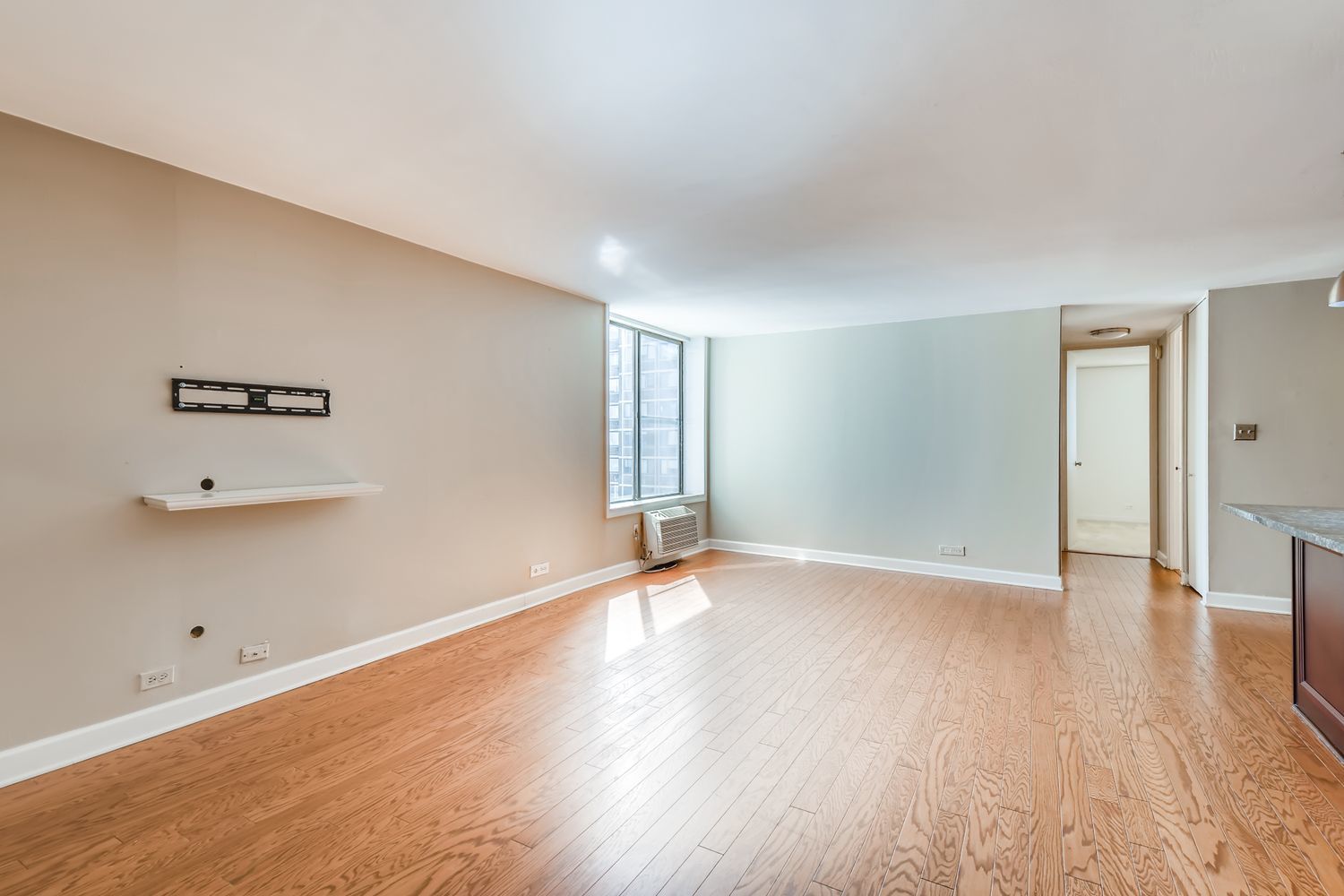 1339 N Dearborn Street 11H