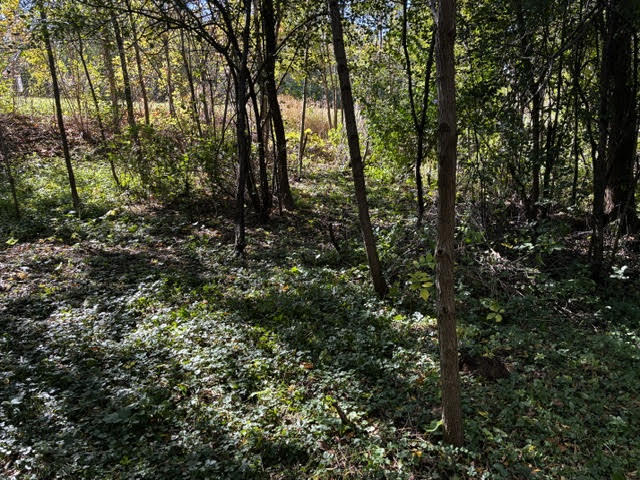 23976 W Beach Grove Road