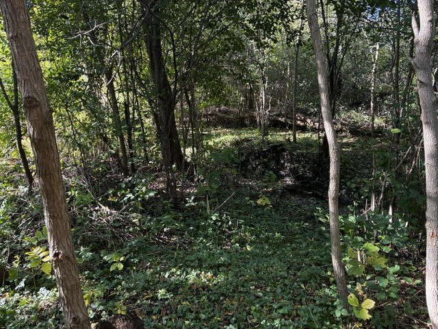 23976 W Beach Grove Road