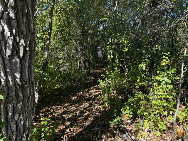 23976 W Beach Grove Road