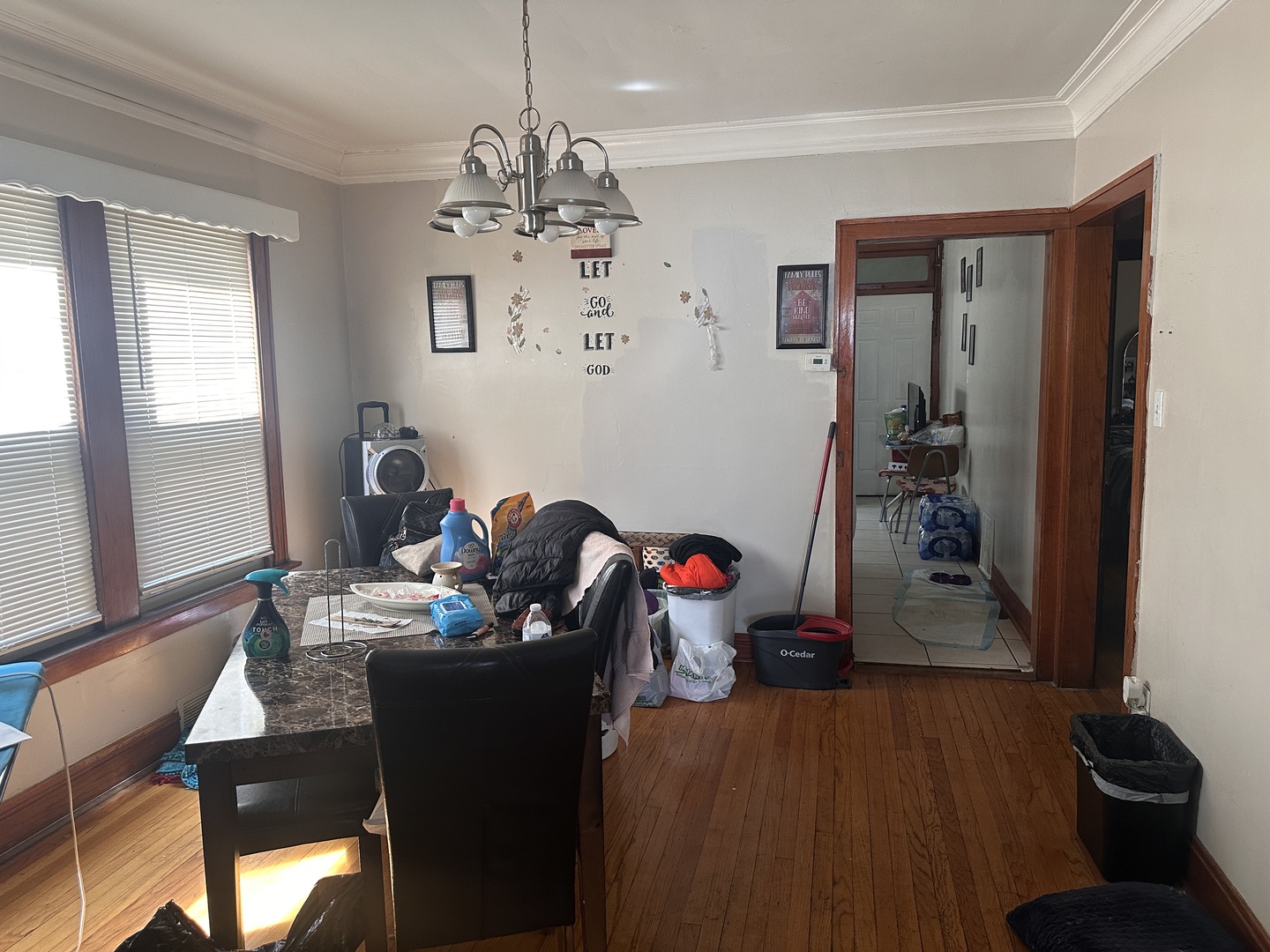 26 E 101st Place, Chicago, IL, 60628 3 26 E 101st Place