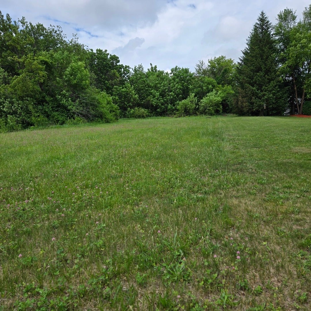 203 Candlewick Drive
