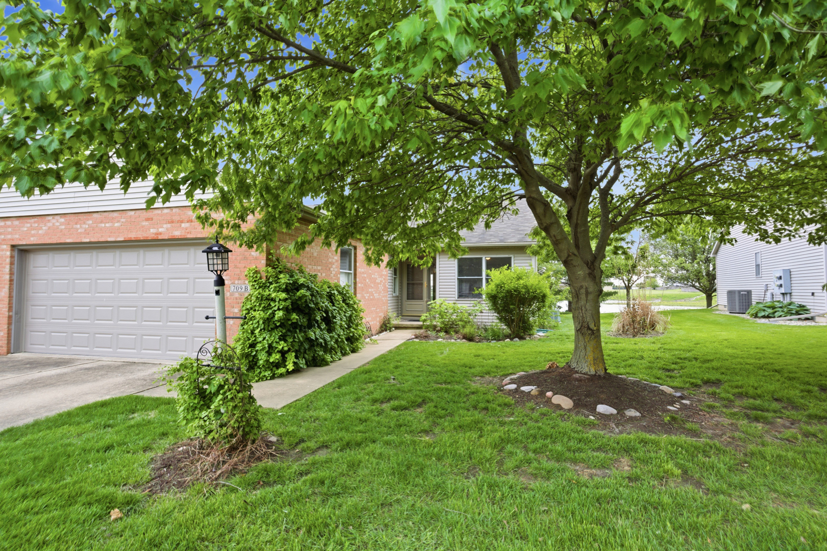 709 Sunflower Street B