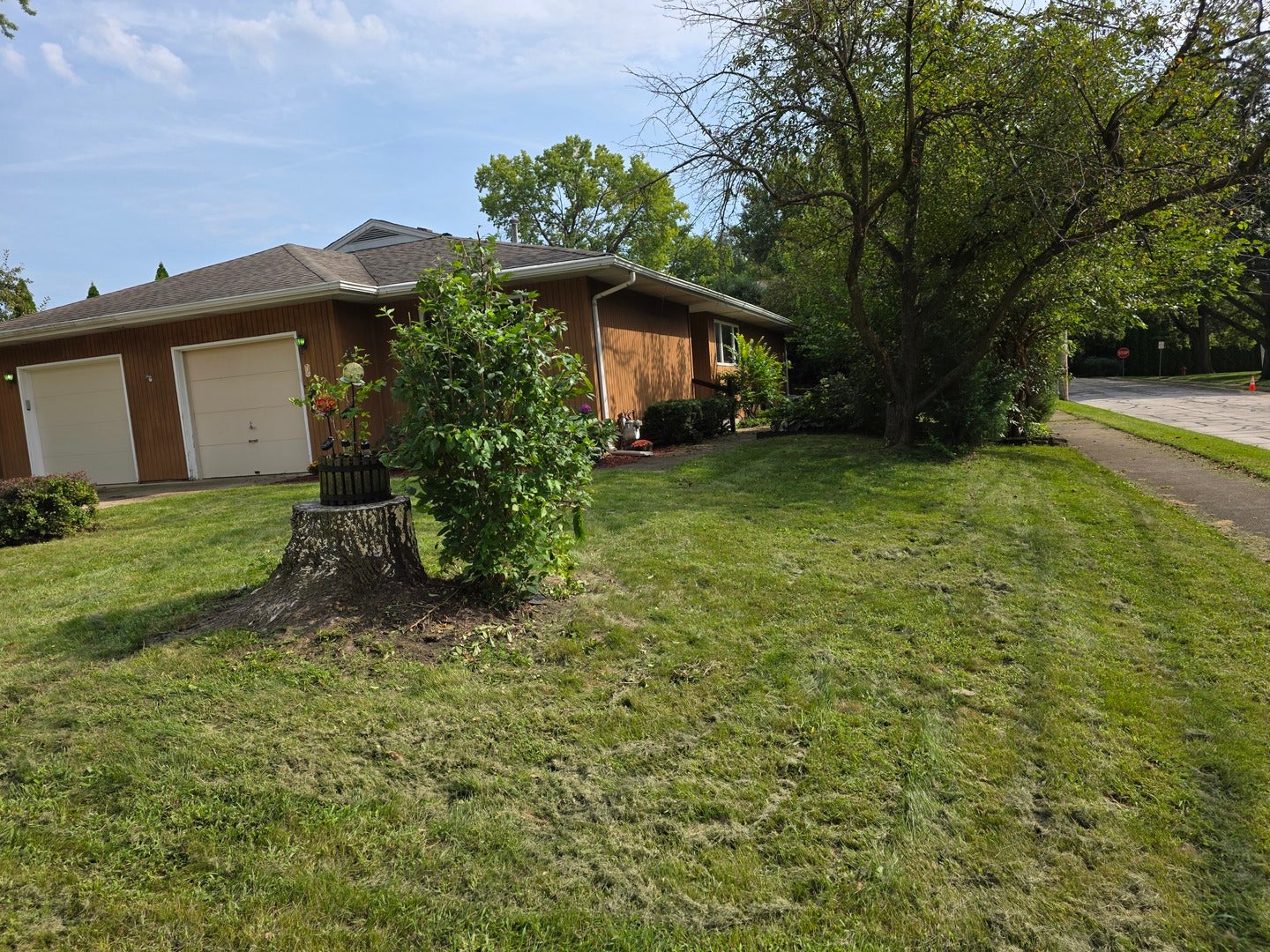 206 Webster Street 206