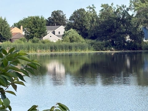 Tiny photo for 2593 Yellow Star Street, Woodridge, IL 60517 (MLS # 12707415)