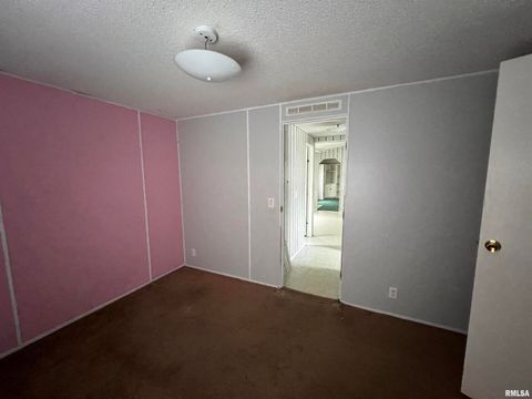 Tiny photo for 112 N Old Marion Road, Goreville, IL 62939 (MLS # EB460648)