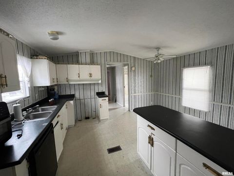 Tiny photo for 112 N Old Marion Road, Goreville, IL 62939 (MLS # EB460648)