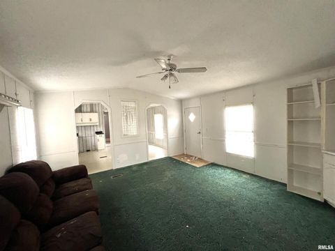 Tiny photo for 112 N Old Marion Road, Goreville, IL 62939 (MLS # EB460648)