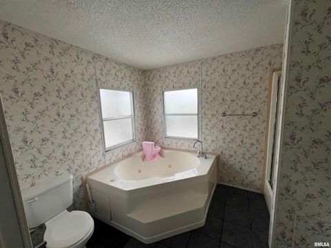 Tiny photo for 112 N Old Marion Road, Goreville, IL 62939 (MLS # EB460648)