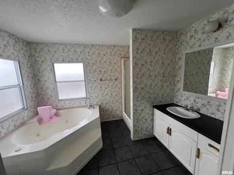 Tiny photo for 112 N Old Marion Road, Goreville, IL 62939 (MLS # EB460648)