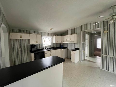 Tiny photo for 112 N Old Marion Road, Goreville, IL 62939 (MLS # EB460648)