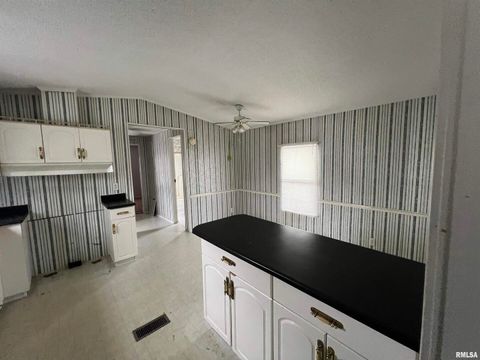 Tiny photo for 112 N Old Marion Road, Goreville, IL 62939 (MLS # EB460648)