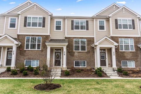 218 Timberleaf Circle Roselle IL 60172