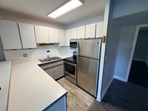 Tiny photo for 5527 E Lake Drive #C, Lisle, IL 60532 (MLS # 12777923)